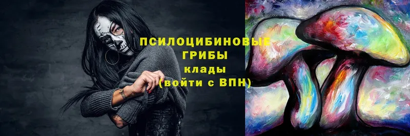 Галлюциногенные грибы мухоморы  Иннополис 